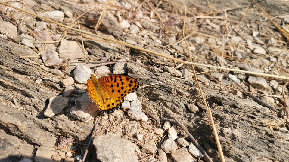 微信图片_20211207110203