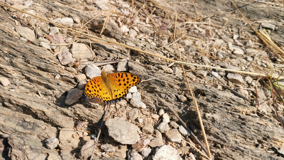 微信图片_20211207110207