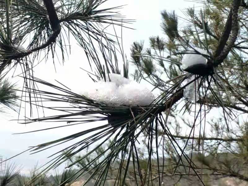 微信图片_20220221114532