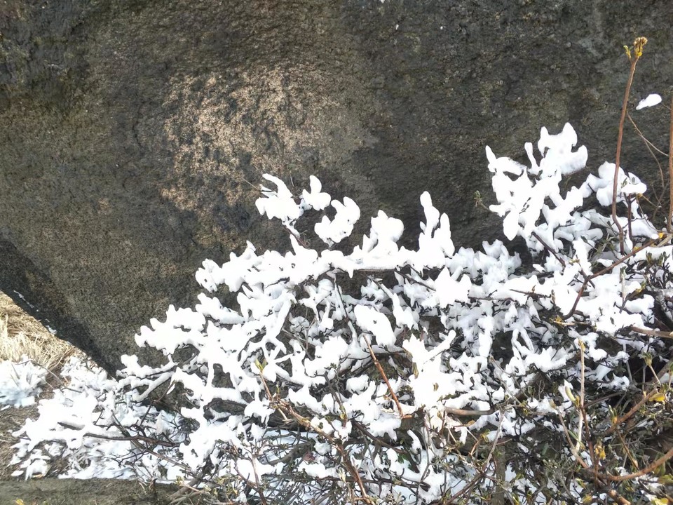 微信图片_202202211145314