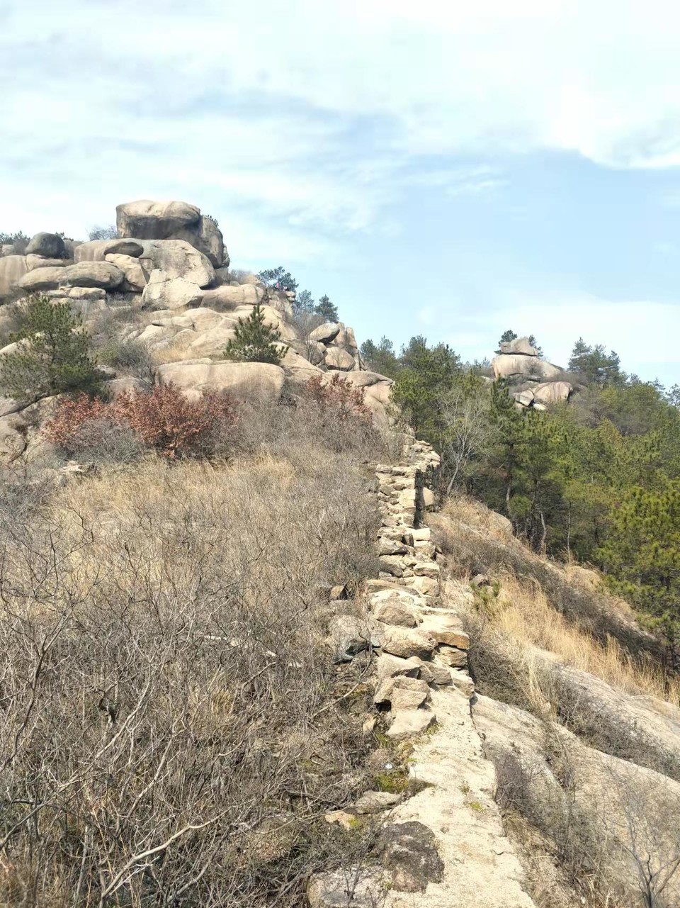 微信图片_202202211145321