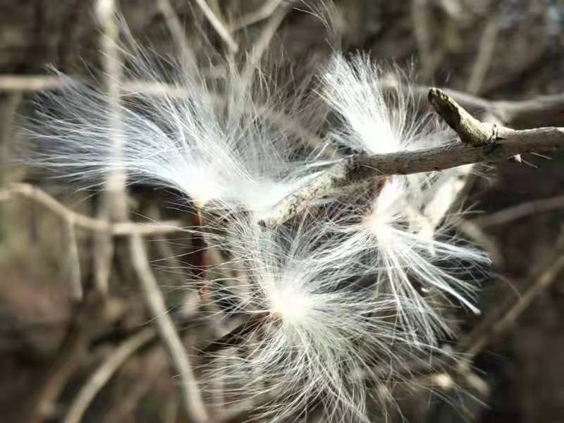 微信图片_202202211145322