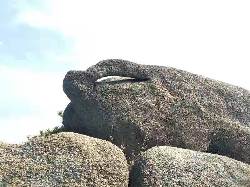 微信图片_202202211145323