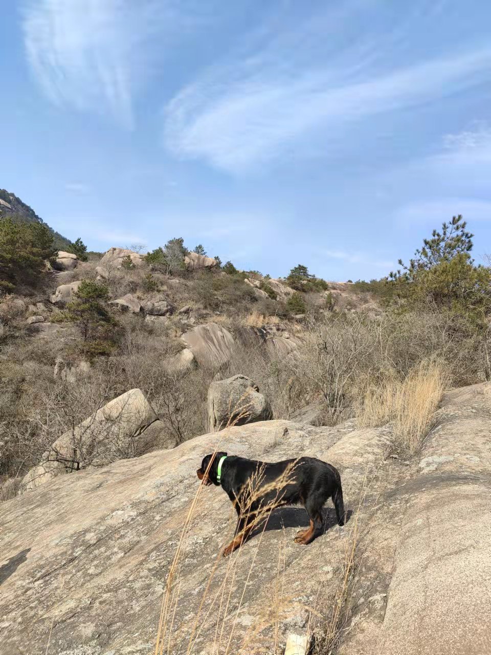 微信图片_202202211146327