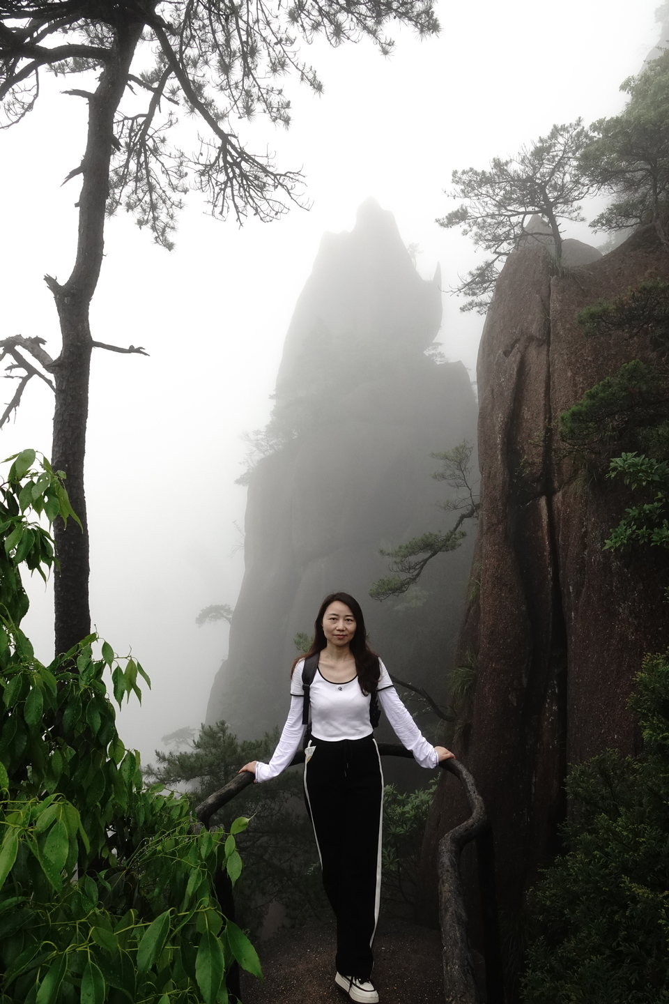 49a9781b832a2287d873477e24993a4