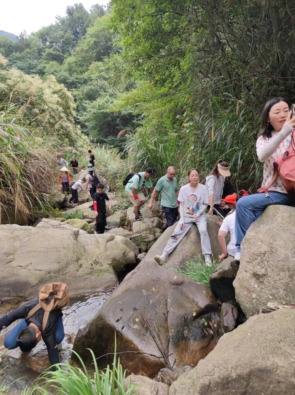 0dce4c8a3eb73d0f019ffc70a5dfaa7