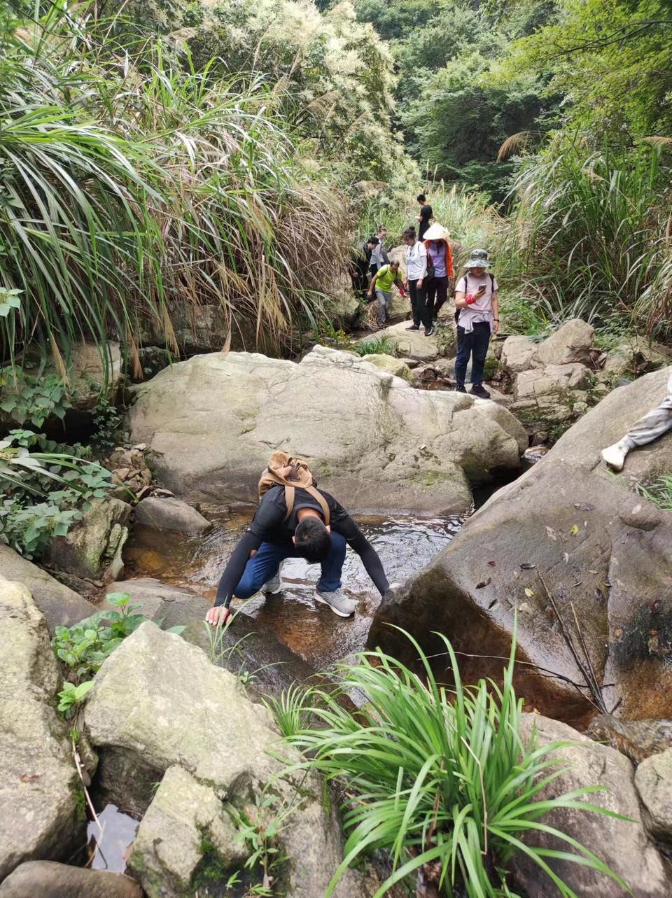 8500d65314ef44352d1d3fb2780e036