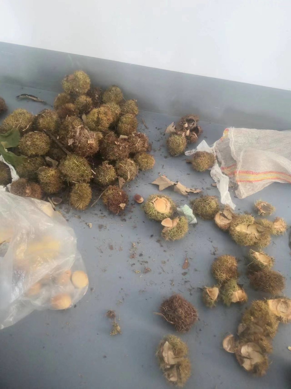 79bc4b37e14a85284f6f650ea12b4a4