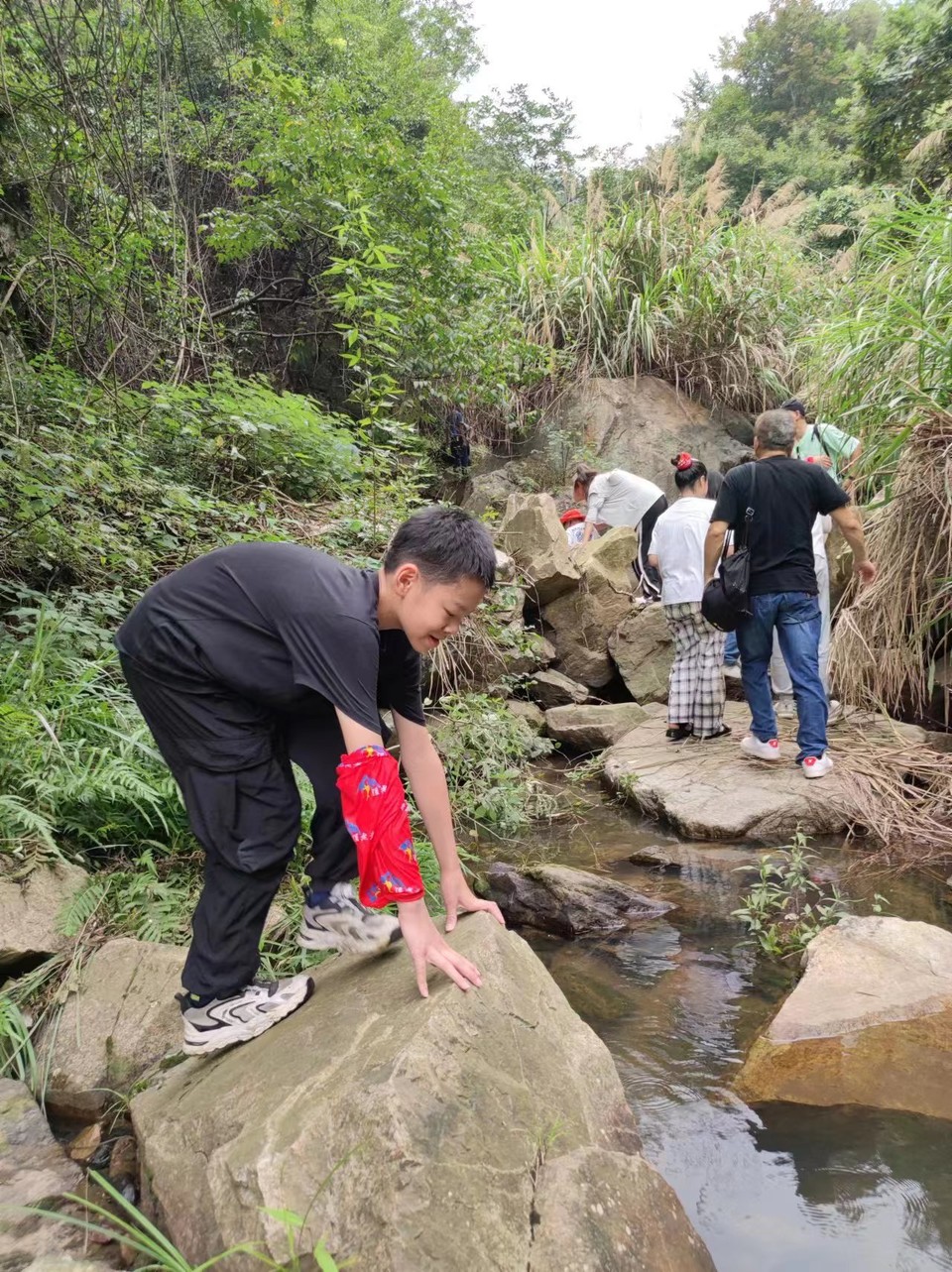 661b21946b657cb40c0e6417dd7f118