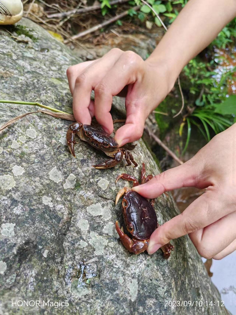 4001814c64b73d699541f21baf0be28