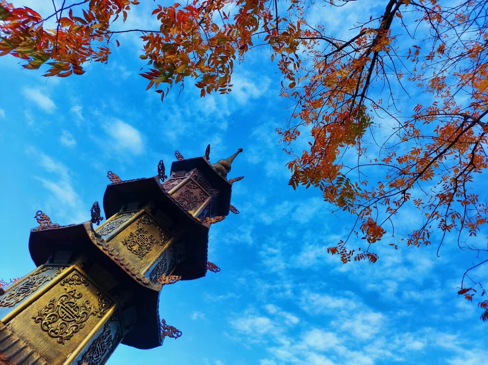 44b0467d8ddccde9c81916f16586990