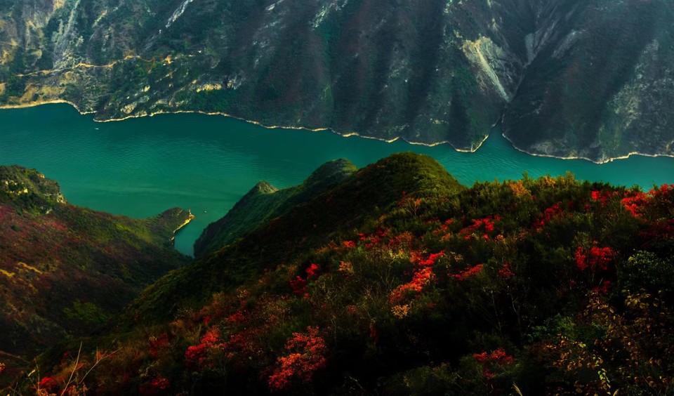 87f6d1acc504d7d57e89273aa344cc4