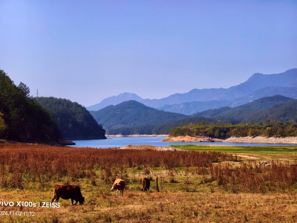 mmexport1730687487697