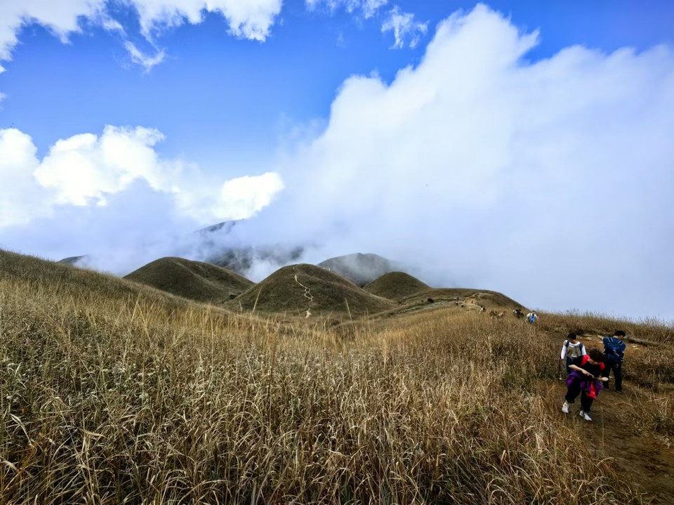 mmexport1731897208810