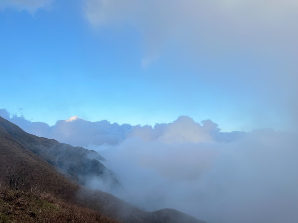 mmexport1731897170983