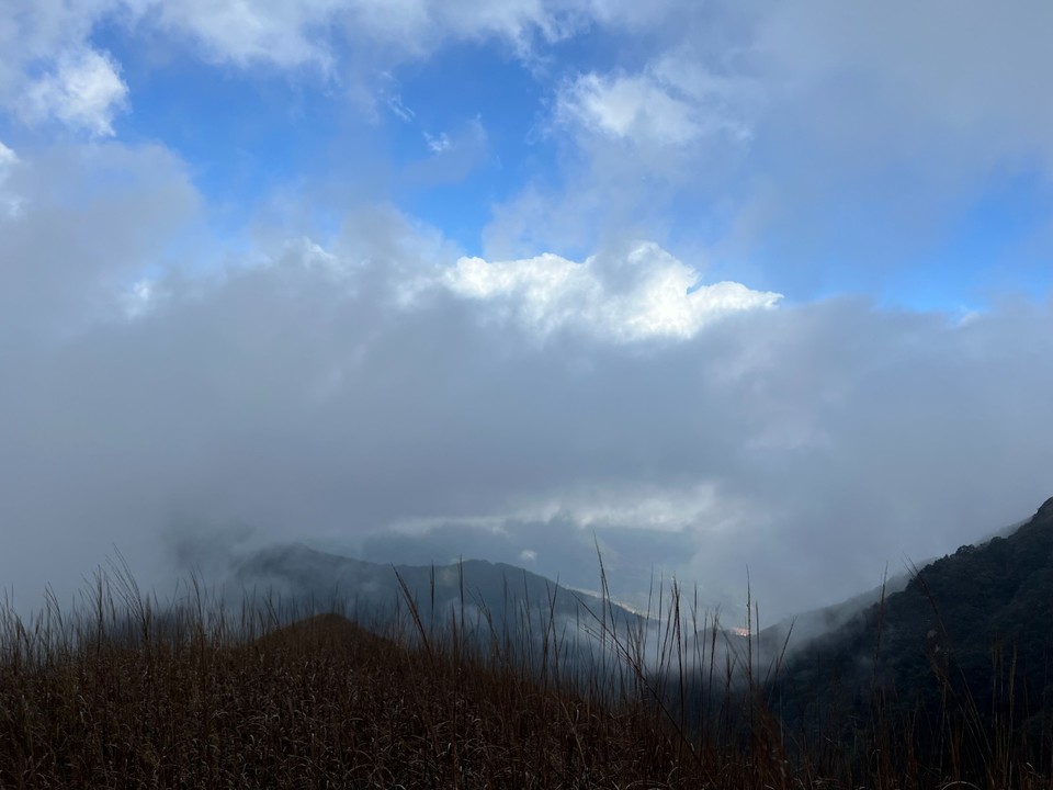 mmexport1731897169348