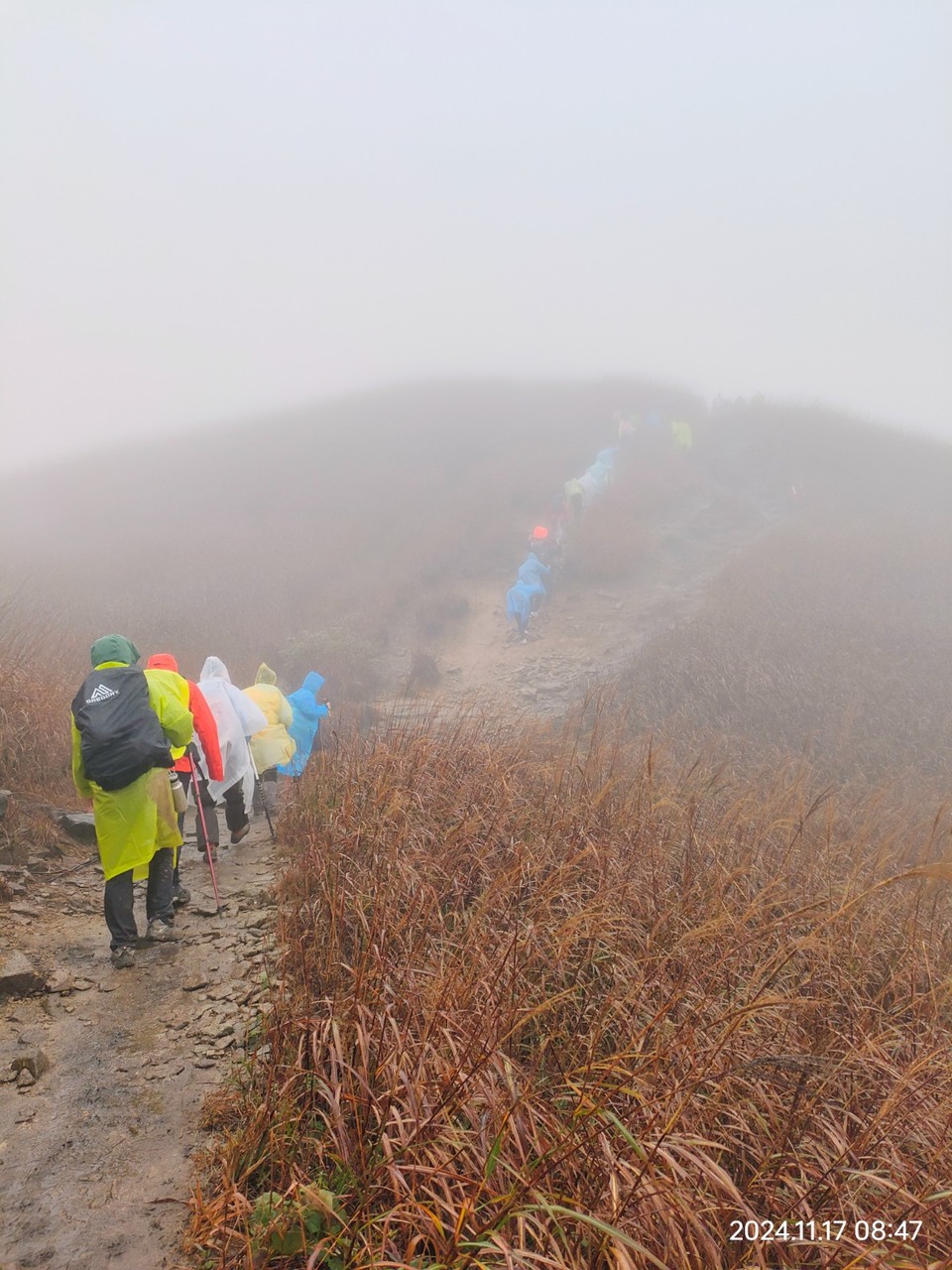 mmexport1731897147214