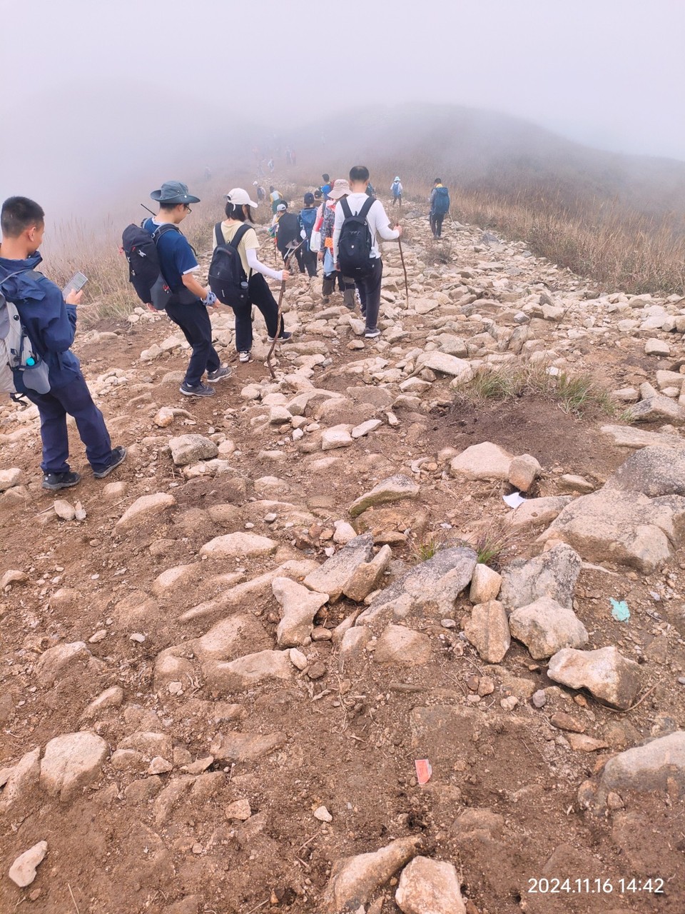 mmexport1731897124027