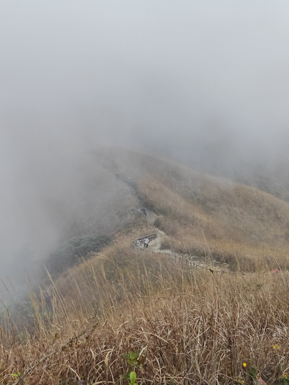 mmexport1731897095933