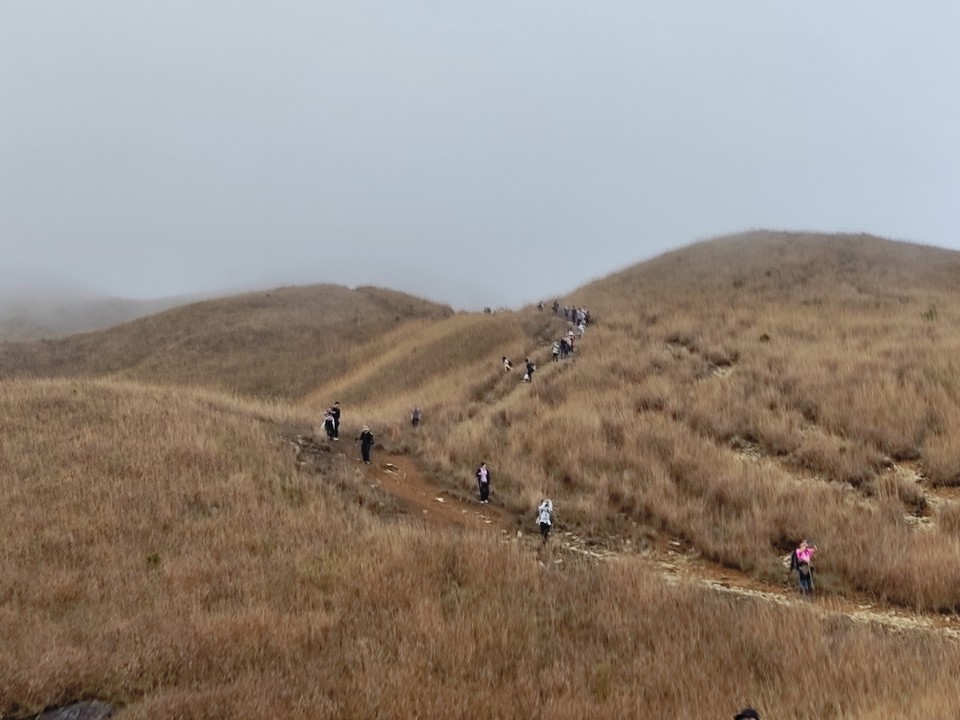 mmexport1731897093558