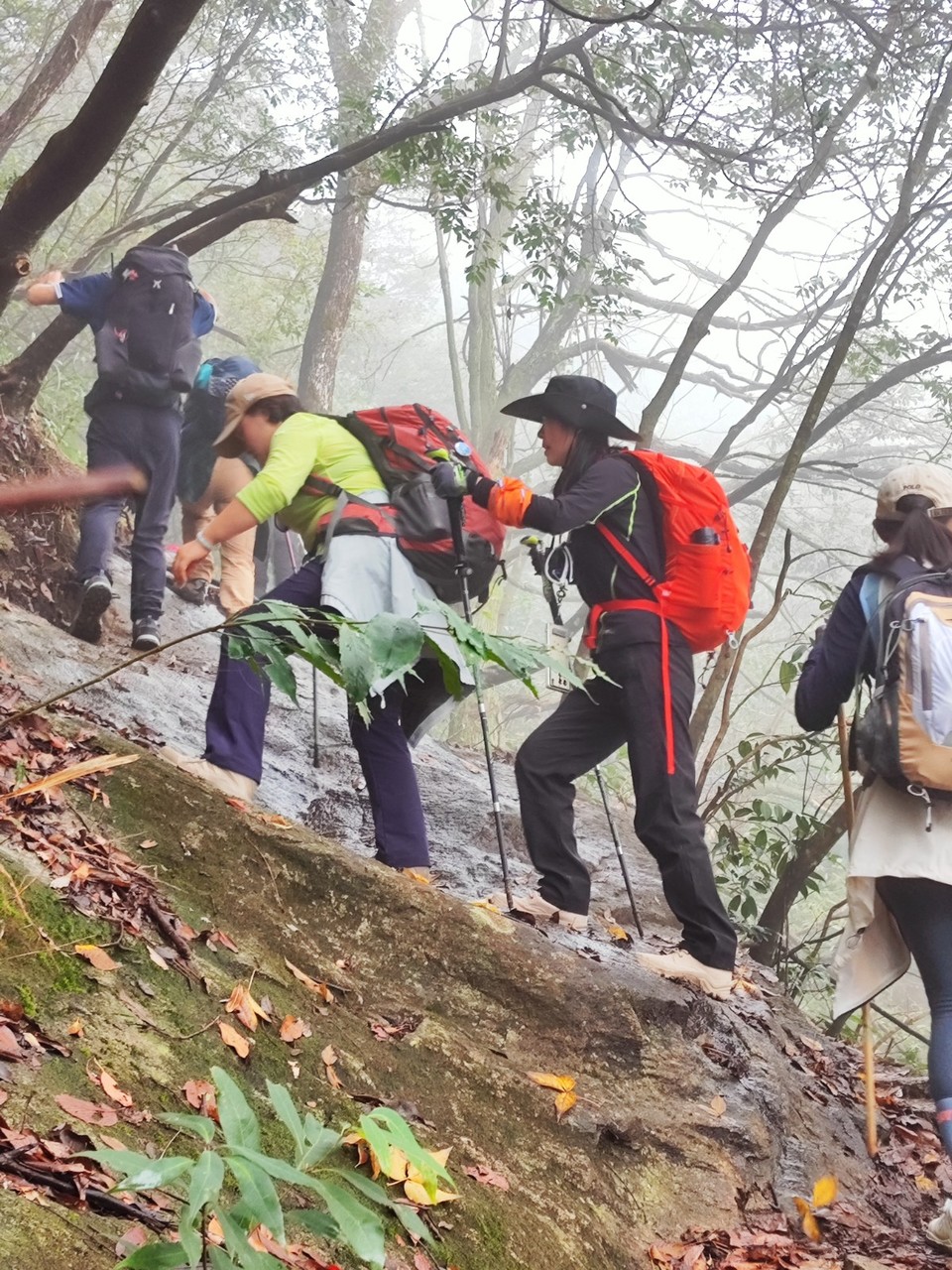 mmexport1731897082797