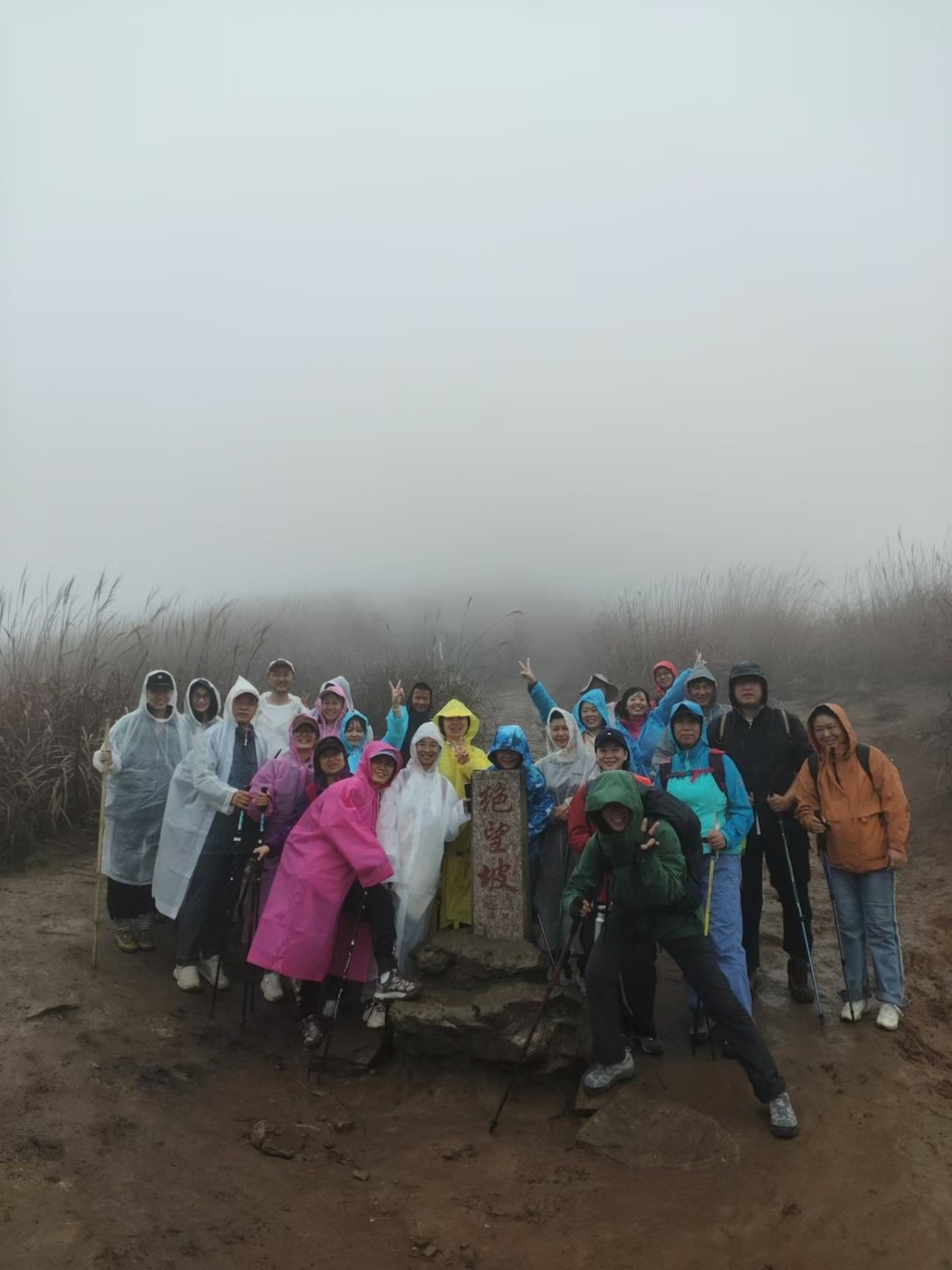 mmexport1731896765029