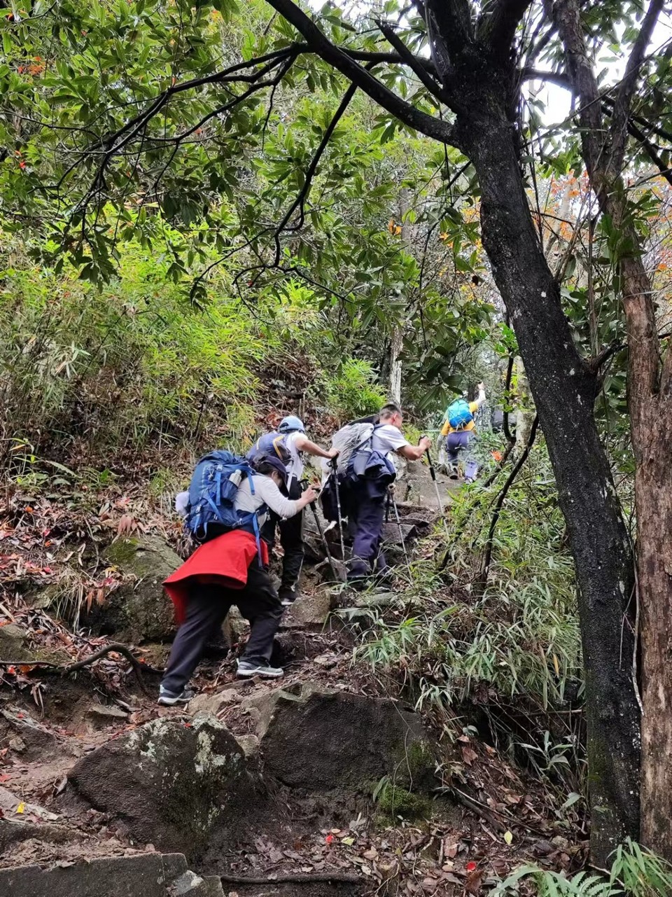 mmexport1731896656787