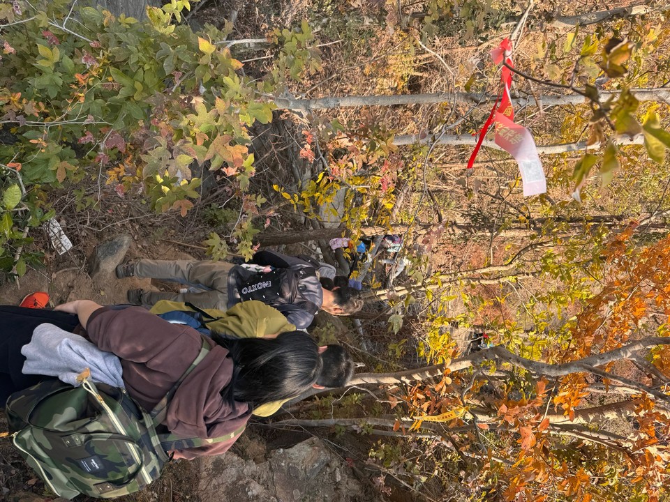 mmexport1733109729214