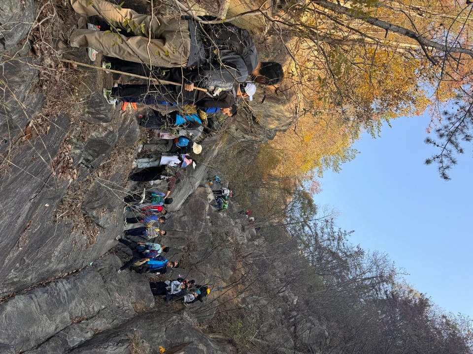 mmexport1733109722935