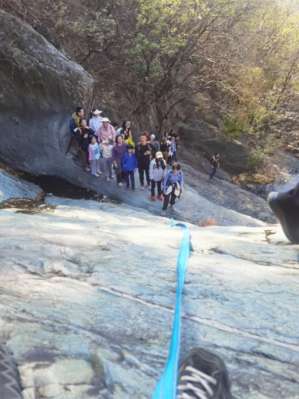 mmexport1733109676043