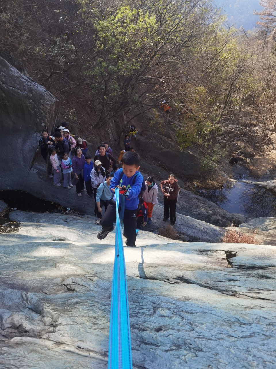 mmexport1733109658249