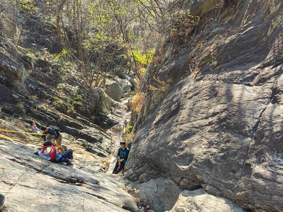 mmexport1733109607485