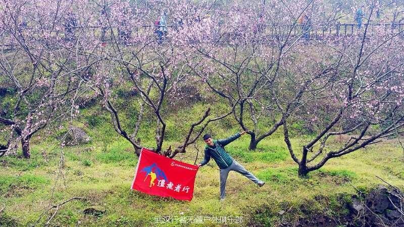 mmexport1489837394712