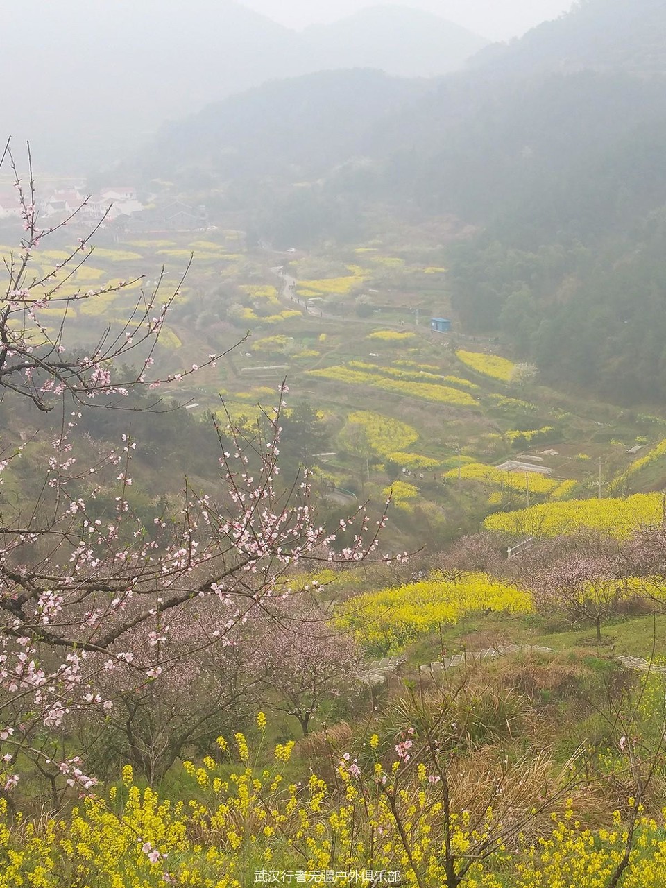 mmexport1489837367313