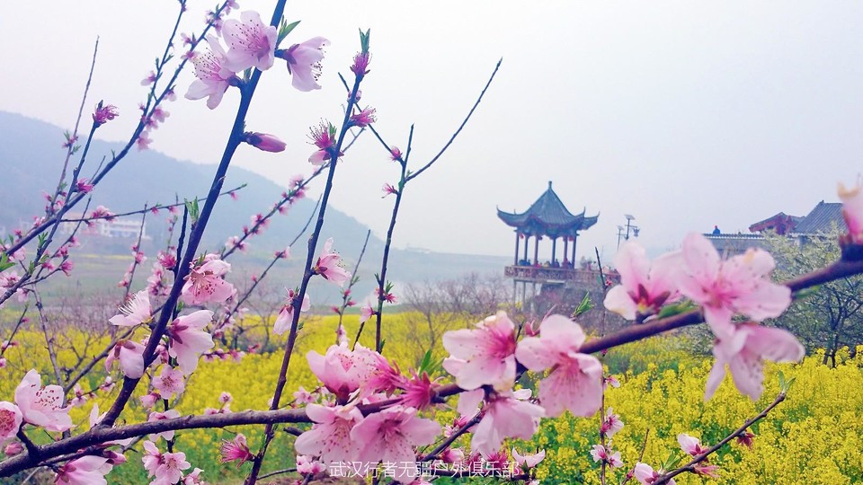 mmexport1489837354711