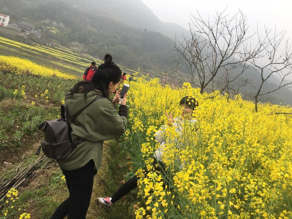 mmexport1489846191368