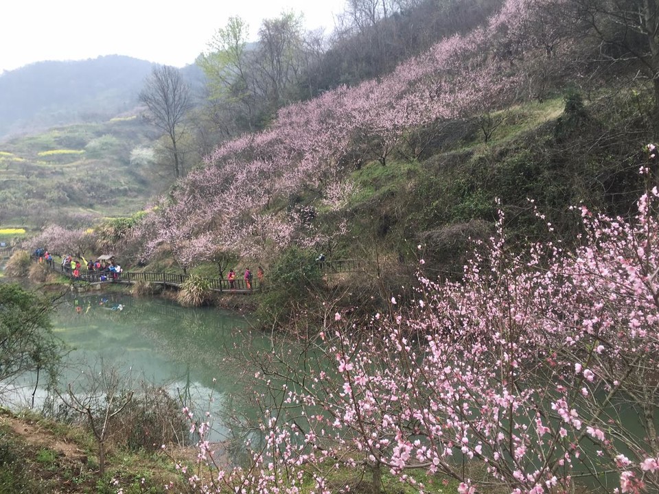 mmexport1489846233671