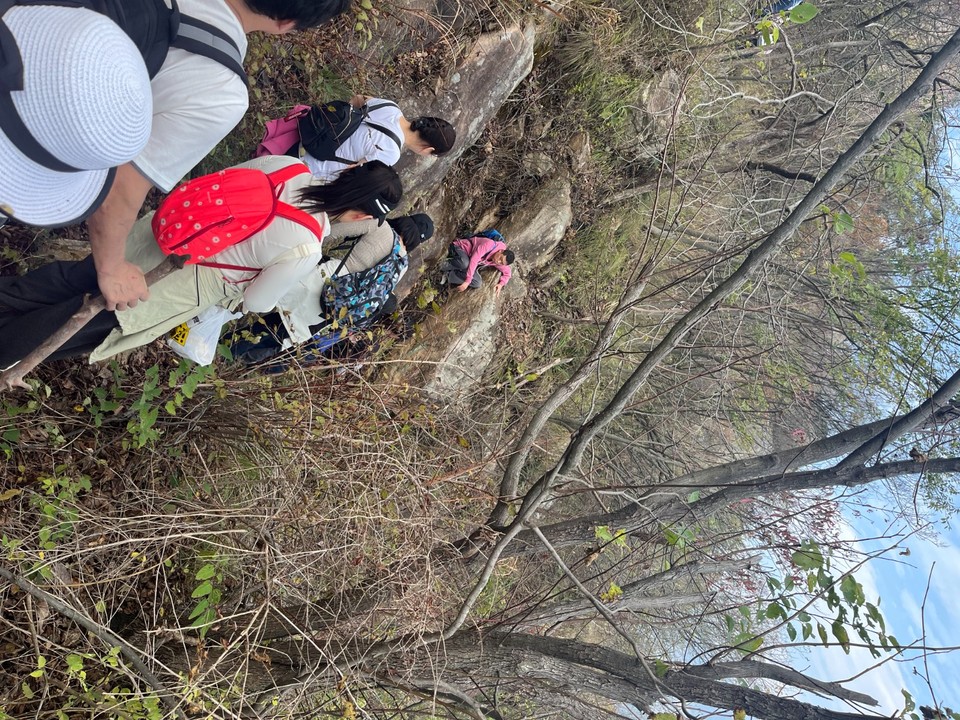 mmexport1730123878603