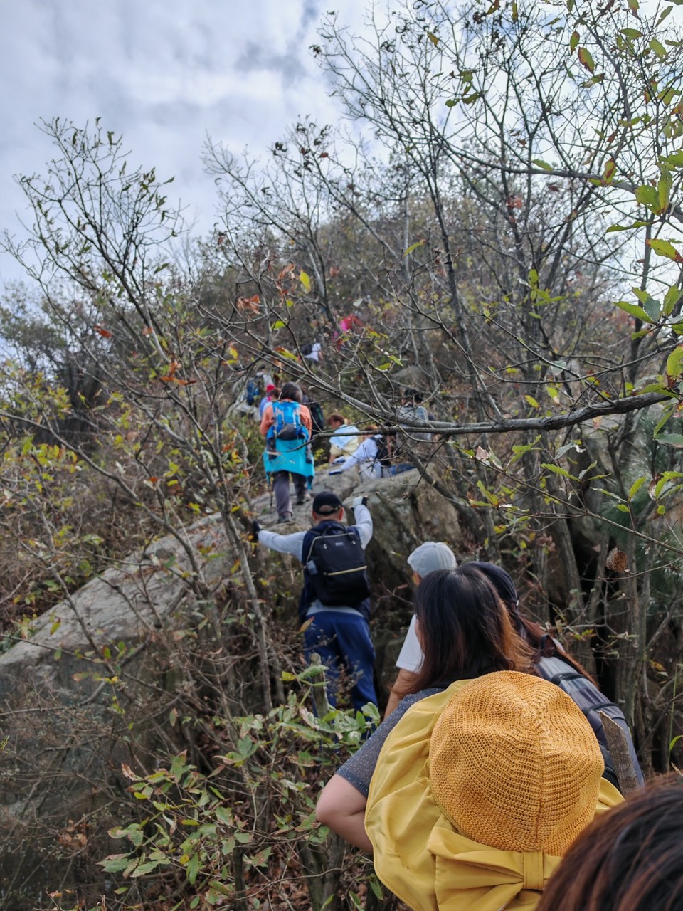 mmexport1730123800043