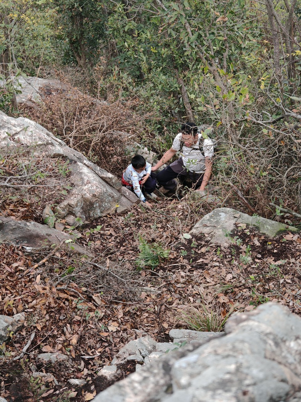 mmexport1730123767842