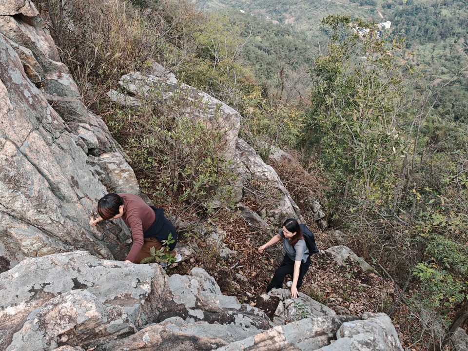 mmexport1730123722076