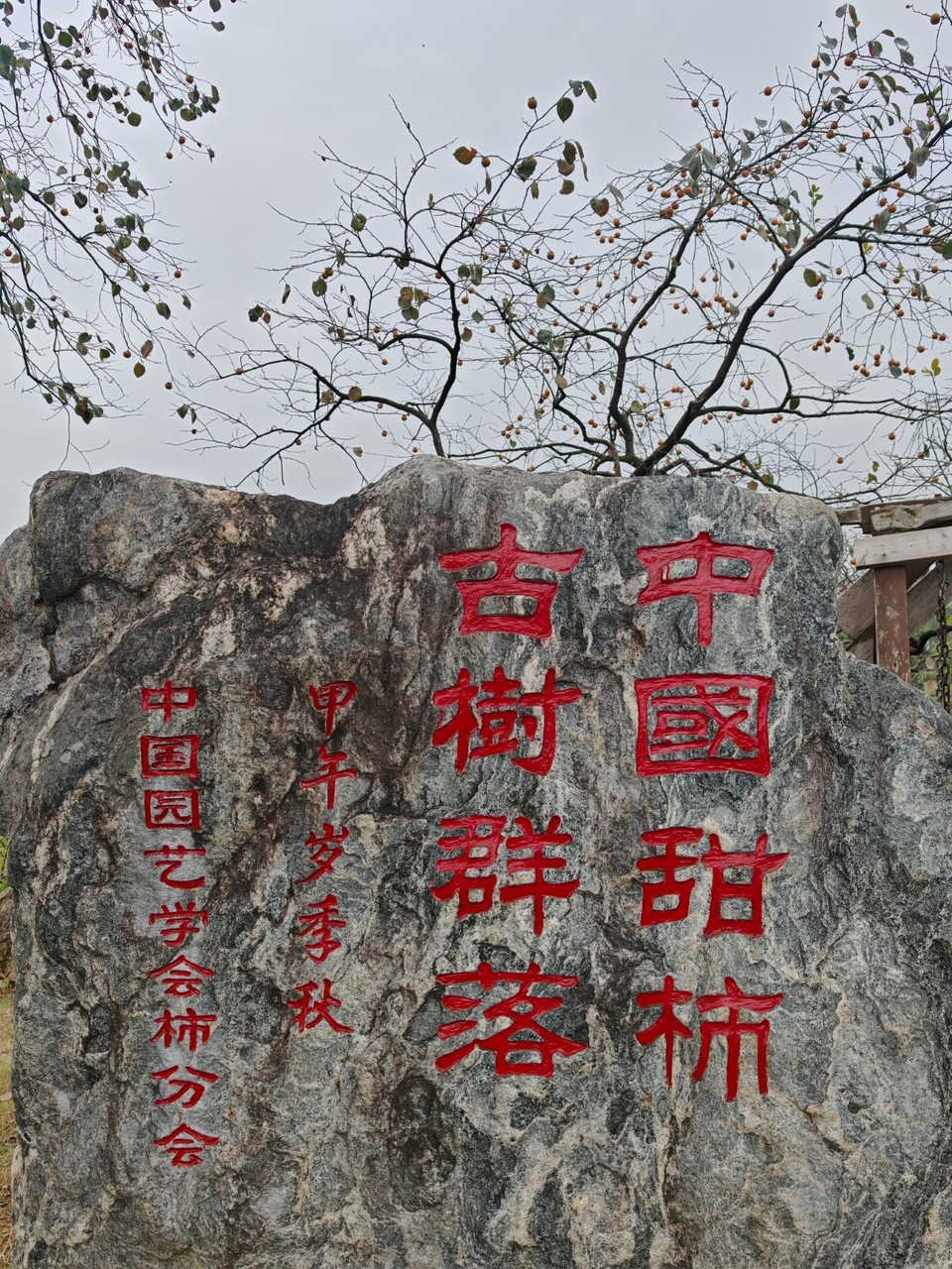 mmexport1730123705545