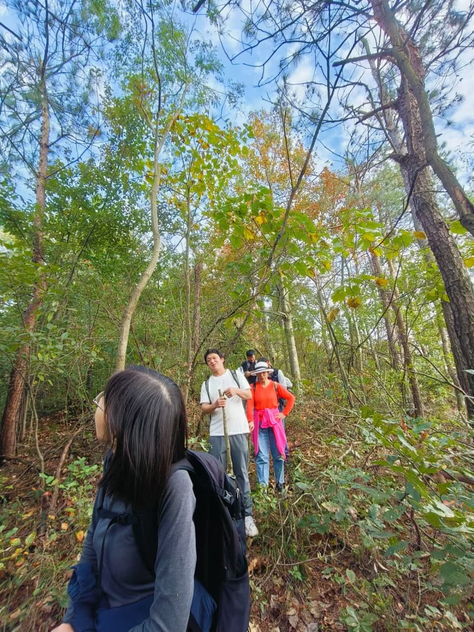 mmexport1730123649533