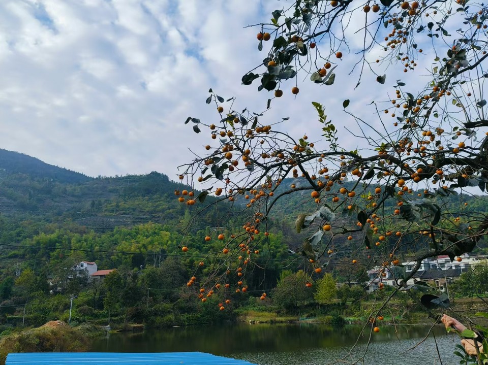 mmexport1730123658841