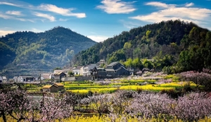 【3月21日周六】春探沼山村 “湖北小婺源”，梯田花海，古桥古村