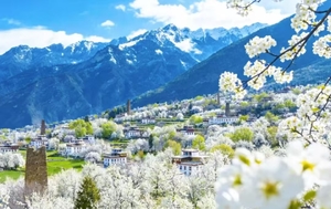 【春染川西· 赏梨花】观贡嘎雪山  四姑娘山双桥沟+牛背山+金川梨花+墨石公园+中路藏寨+红海