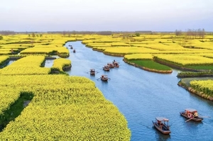 【4月3日晚-6日】扬州瘦西湖-兴化水上油菜花-南京秦淮河-中山陵，赴一场中式浪漫之旅4日游（2+1豪华大巴）