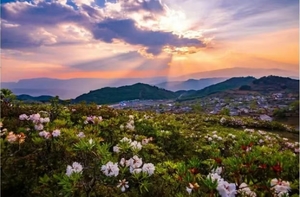 【凉山索玛●泸沽湖】4月20日-28日从大凉索玛到云南，邛海-泸沽湖-虎跳峡-白水台-巴拉格宗双飞9日