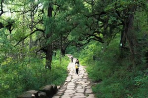 【5月1-5日】古蜀道-金牛古道 | 黑神话、中国版朝圣之路、天下第一古道（2+1豪华大巴）