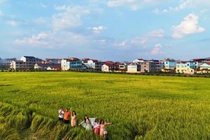 【4月12日/周日】团风一日独树麦浪，油菜花海，乡村客厅，牛车河水库，山顶风车夕阳，自驾免费